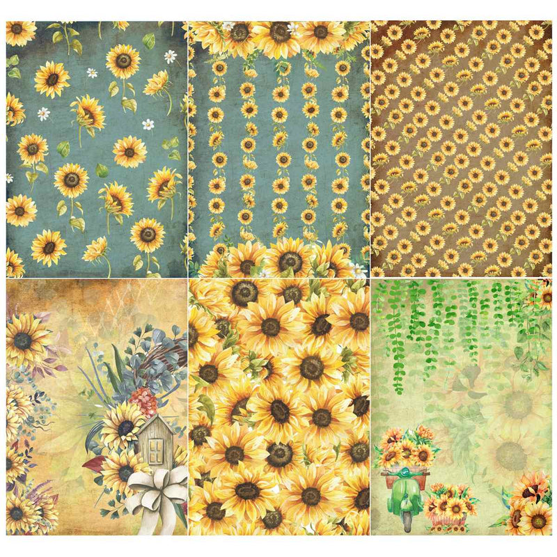 Helianthus Paper Pack, Size: A4 25 Sheets (JPHA4X24) | Reliance Fine Art |